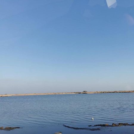 Plages De Camargue Et Logement Dans Un Site Calme De Reve 아흘르 외부 사진
